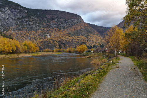 Norway river side in Autumn