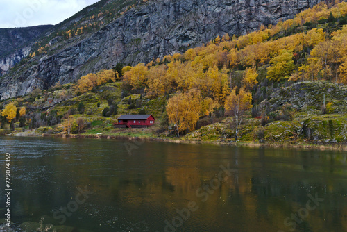 Fototapeta Naklejka Na Ścianę i Meble -  Norway river side in Autumn