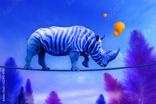 Blue Rhino walking on rope photo