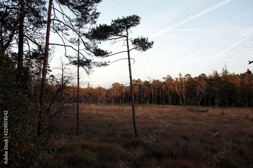  donoper teich, hiddeser bent photo