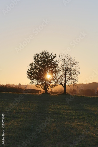 Hessigheim