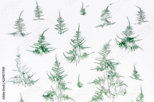 Christmas composition. Pattern made of coniferous tree branches on white background. Christmas  winter  new year concept. Flat lay  top view