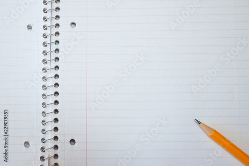 Pencil Lays on Traditional Spiral Notebook photo