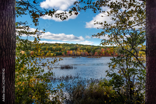 lake in the forest
