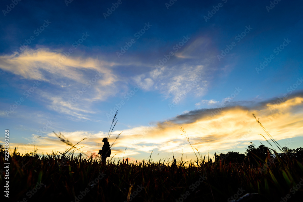 Fototapeta premium Sun rise in the forest.