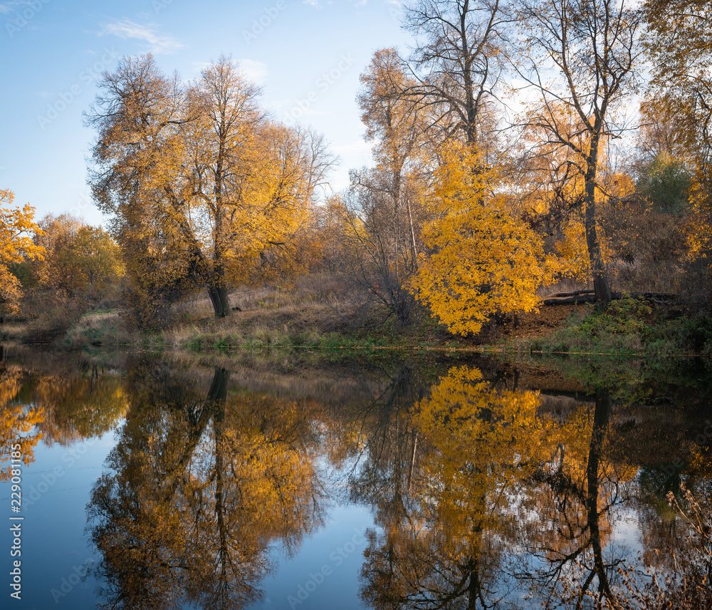 Beautiful autumn park, lit by the sun and the lake