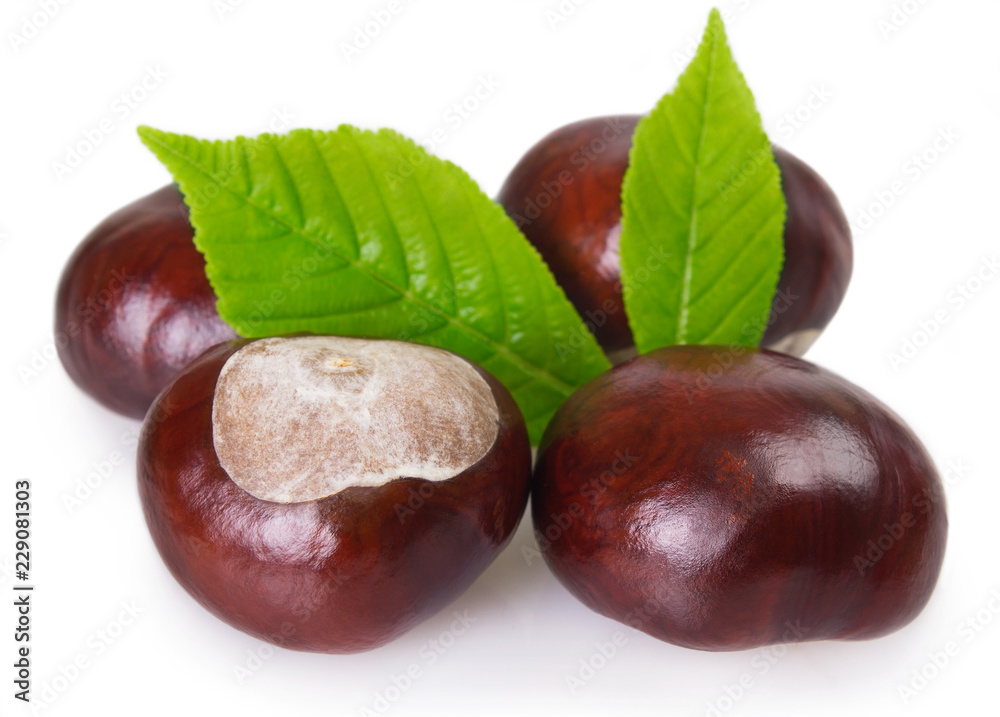 Fresh chestnut with leaf on white background Fresh chestnut with leaf on white background