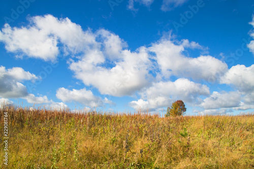 Beautiful autumn landscape with white clouds. Rural place
