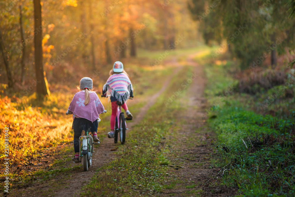 Obraz Dzieci na rowerach w jesiennym lesie fototapeta, plakat