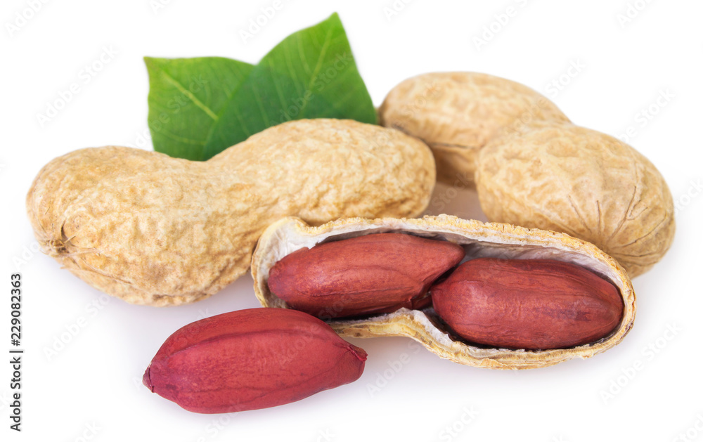 Peanut on white background Peanut on white background