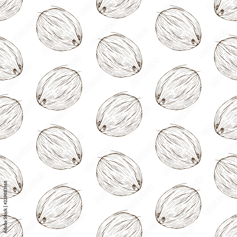Coconut seamless pattern, vector Coconut seamless pattern, vector