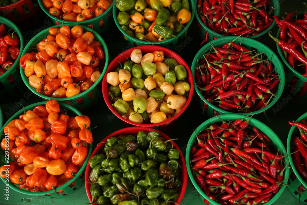  Organic peppers of different colors in baskets on the market
