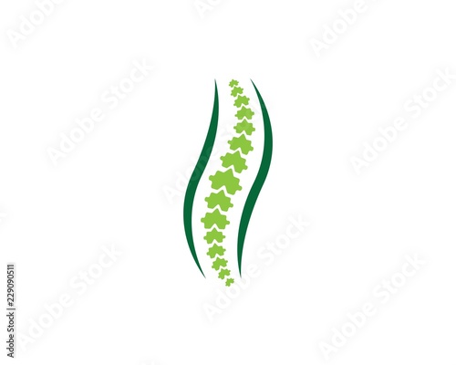 Spine diagnostics symbol logo template vector illustration design 