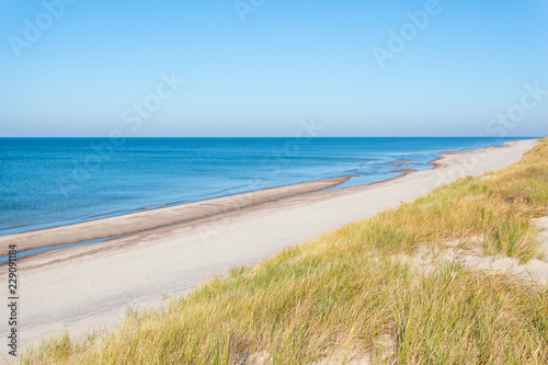 bright wild beach of white sand by the blue sea  Curonian Spit National Park