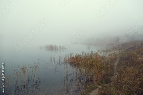 Fog on the lakeside