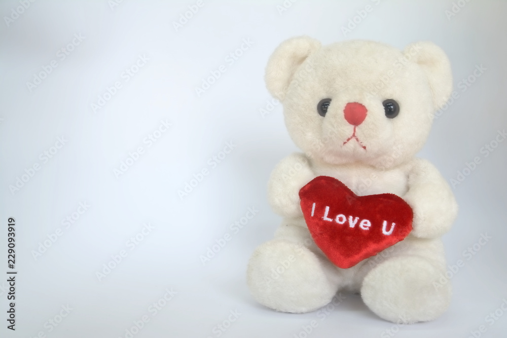 white teddy bear holding red heart on whie background
