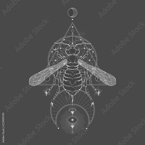 Vector illustration with hand drawn wasp and Sacred geometric symbol on black vintage background. Abstract mystic sign.