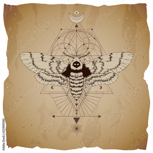 Vector illustration with hand drawn dead head moth and Sacred geometric symbol on vintage paper background with torn edges sign. Abstract mystic sign.