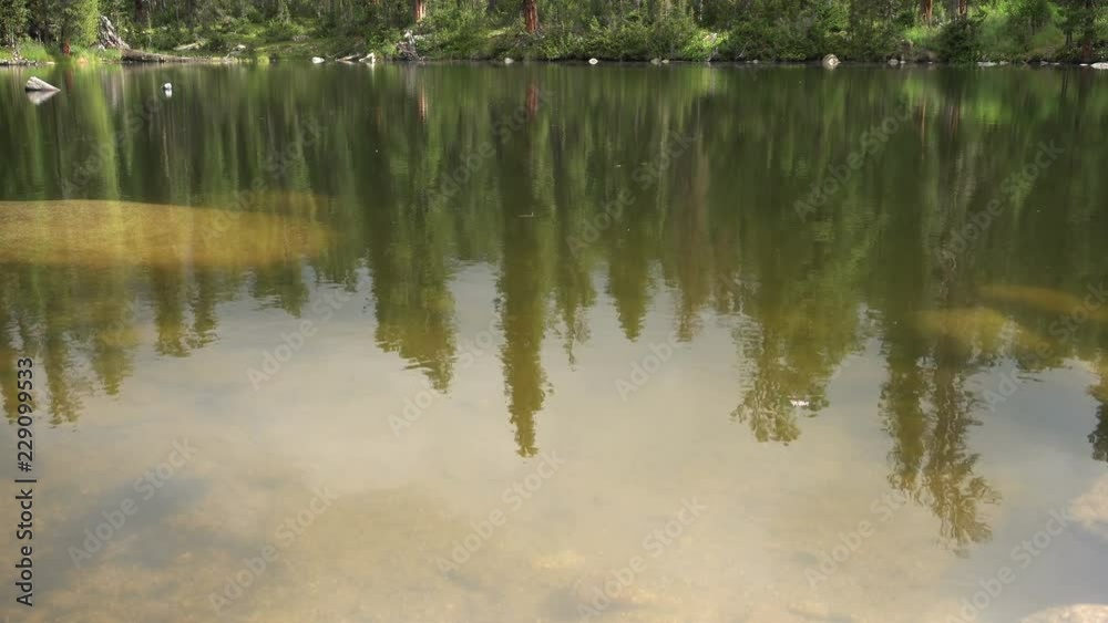 Surface of a small forest lake in Siberia Surface of a small forest lake in Siberia