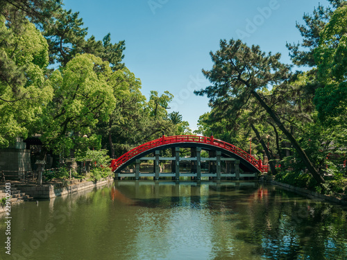 Japanese bridge over the river