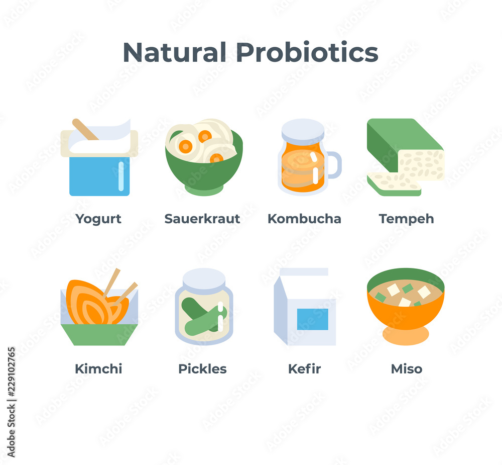 Vector set of flat icons of natural Probiotic foods. Cartoon style
