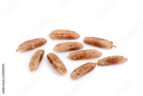 date palm seeds isolated on white background