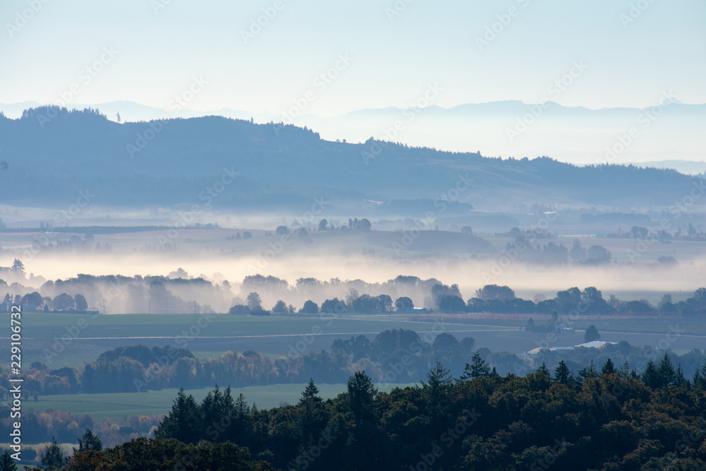 Looking over a valley of trees and fields draped in morning mist, layers and tones of blue and gray, dark green trees on a hill.