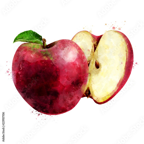 Red Apple on white background. Watercolor illustration