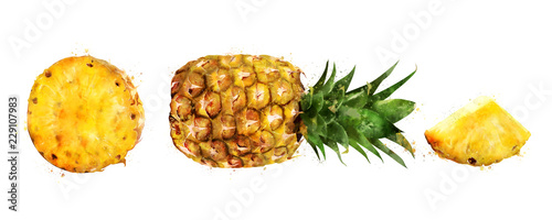Pineapple on white background. Watercolor illustration