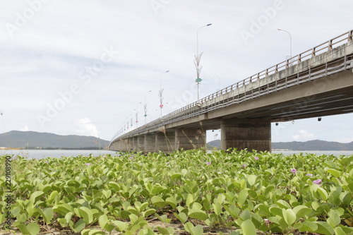 ベトナムのクイニョンの大橋