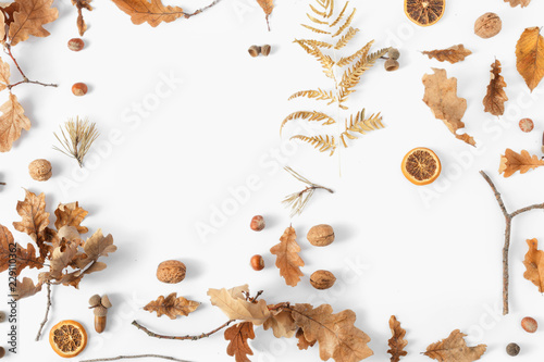 Top view frame dried leaves white background Autumn fall flat lay