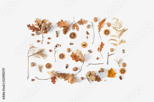 Top view dried leaves white background Autumn fall flat lay