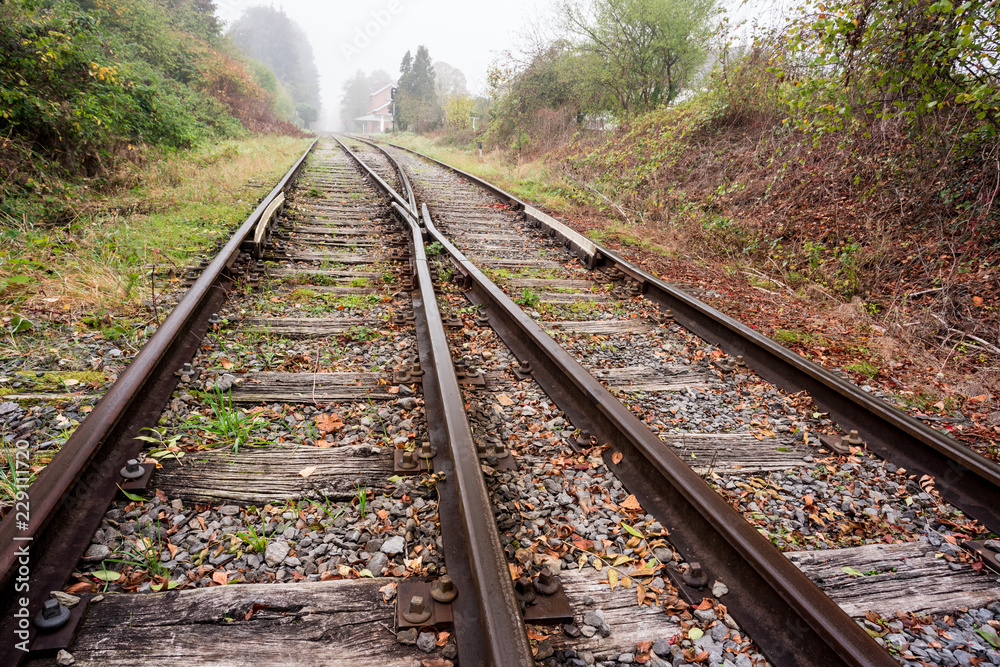 railway in the forest