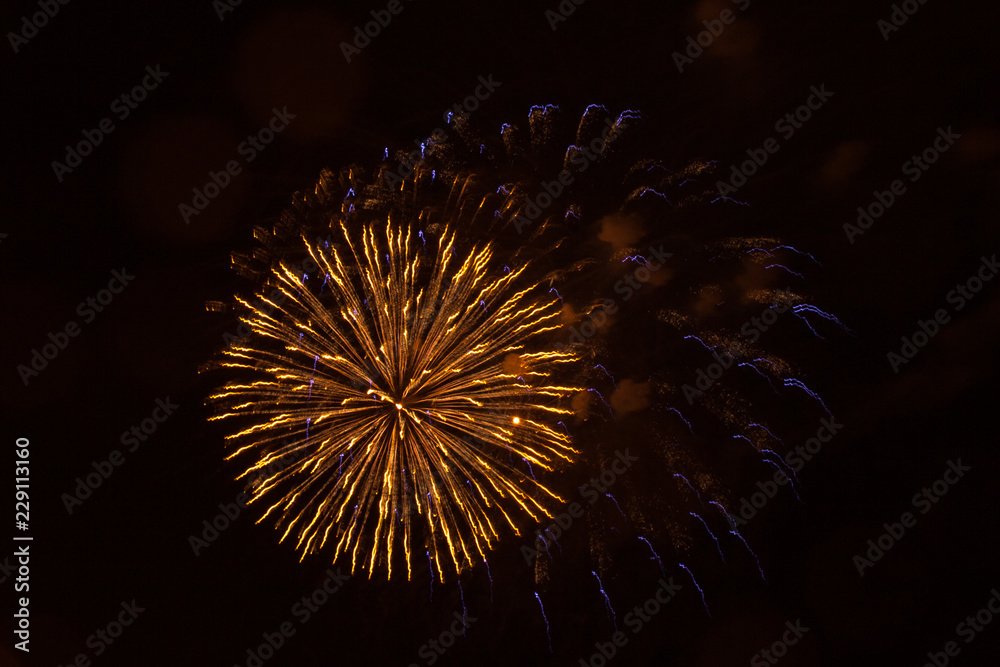 Fireworks light up the sky, Independence Day celebration. Night show. Victory Day. Festive fireworks. New year's night. Decorations for a festive party. American holiday. Day of Canada. Fireworks light up the sky, Independence Day celebration. Night show. Victory Day. Festive fireworks. New year's night. Decorations for a festive party. American holiday. Day of Canada.