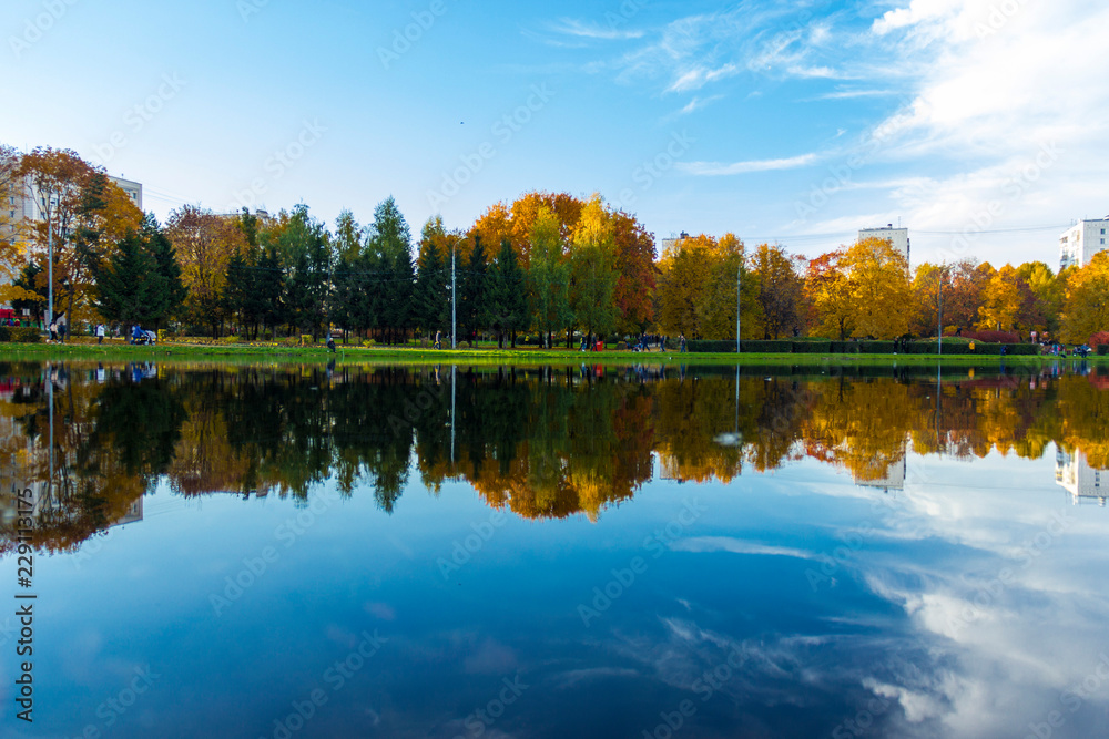lake in the park in sunny evening