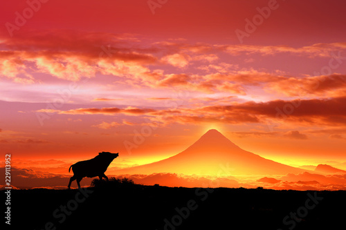 富士山の日の出とイノシシのシルエット © bigfoot