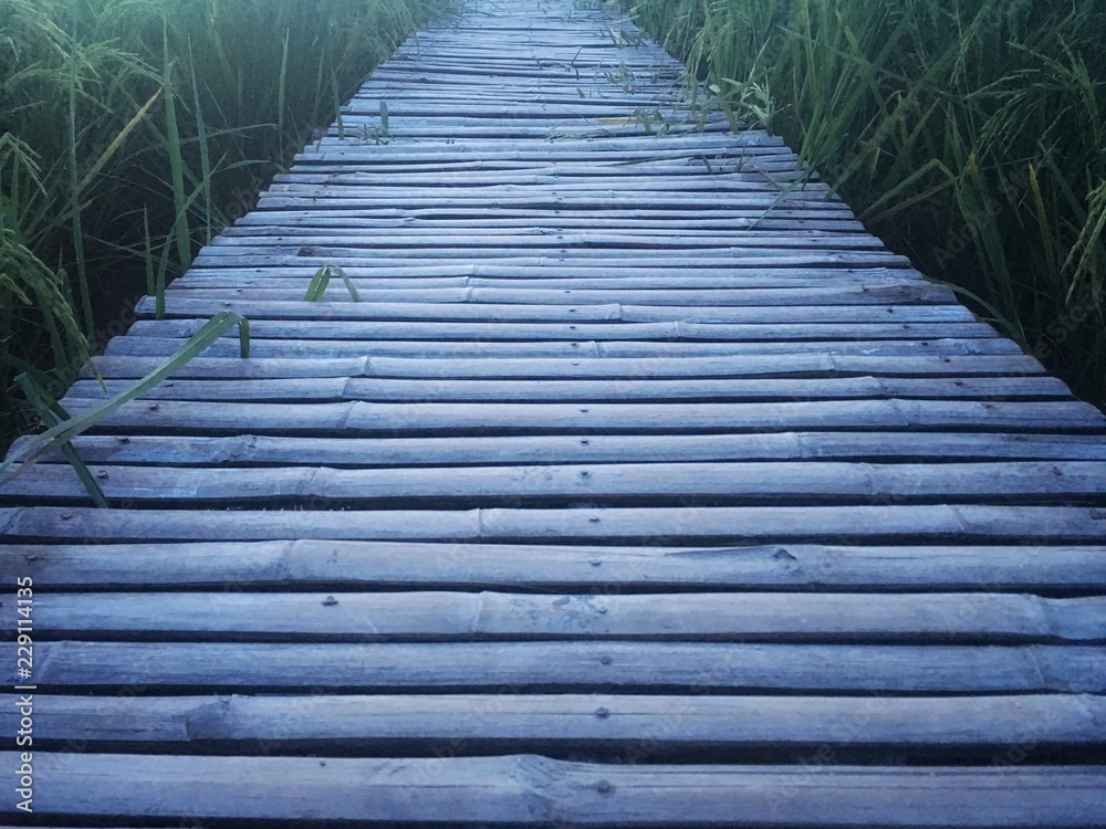Wooden walkway made from dry bamboo and joint by nail. The way go straight through rice field. Way to the nature. Bright and blur of rice field