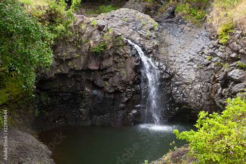 Fototapeta Naklejka Na Ścianę i Meble -  Hawaiian Rainforest Waterfall, Maui