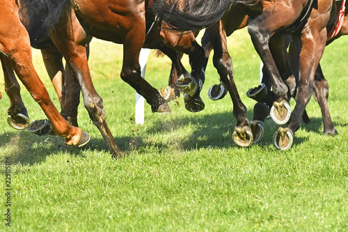 Horse racing action