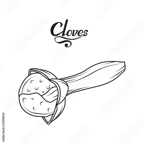 hand drawn cloves plant, spicy ingredient, cloves logo, healthy organic food, spice clove isolated on white background, culinary herbs, label, food, natural healthy food, vector graphic to design
