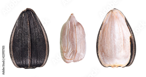 Collection of black sunflower seed and peeled sunflower seed isolated on white background - close-up.