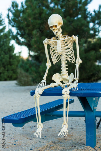 Depressed skeleton sits sadly on a picnic table alone photo