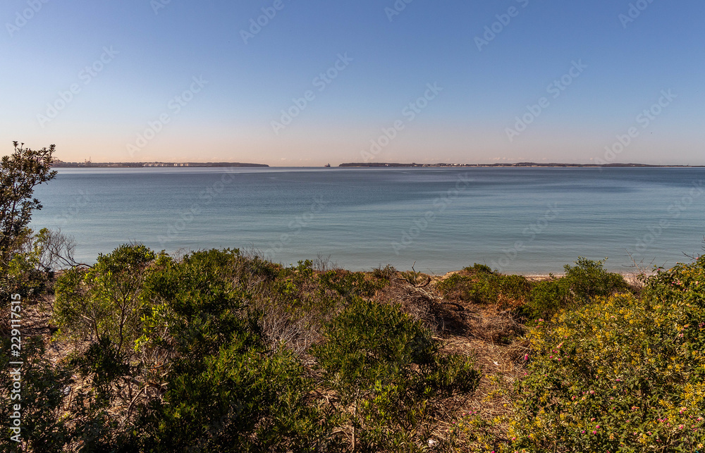 low vegetation with deep blue sea and a pink and blue sky.