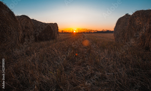 Magnificent field after haymaking with hay collected in the rays of sunset