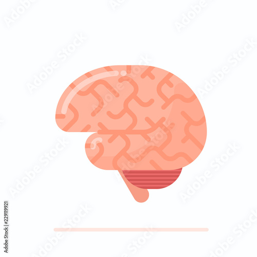 Flat design illustration of human brain