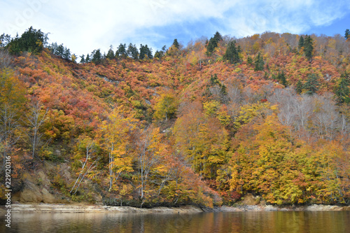 カヤックから見た紅葉の奥利根湖