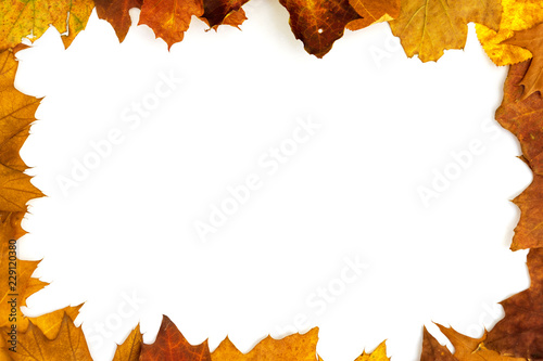 Autumn Leaves - Isolated On White Background With Copy Space For Your Own Text