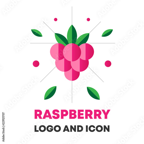 Raspberry icon, logo, berry vector illustration. Flat raspberry icon, logo for web, design, package. Abstract flat raspberry icon, logo for menu. Flat berry vector illustration, raspberry icon, logo