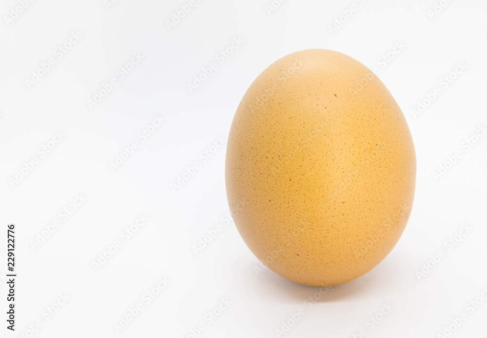egg
