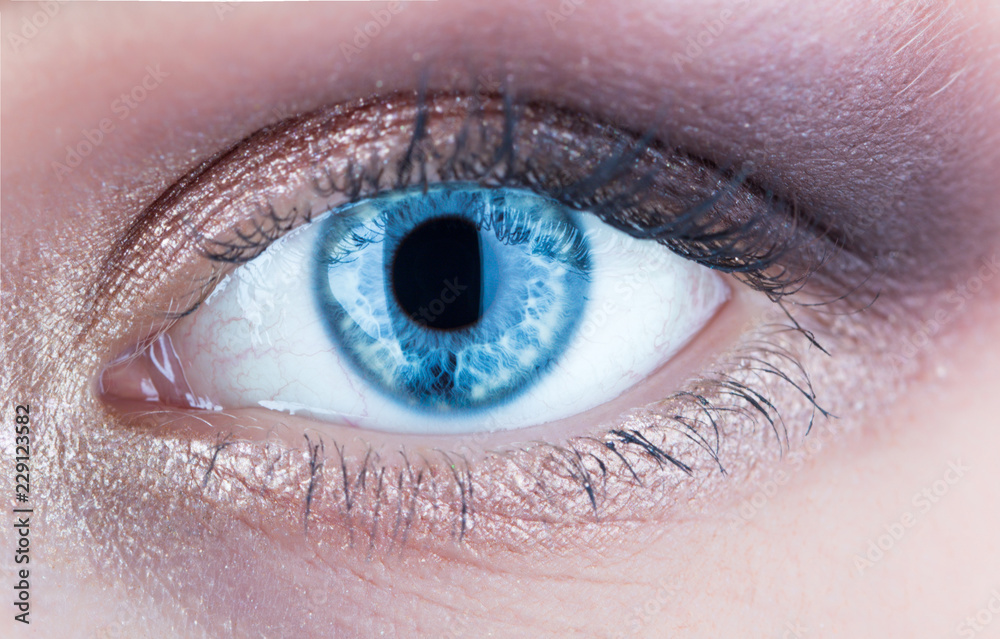 Human Eyes Close Up
